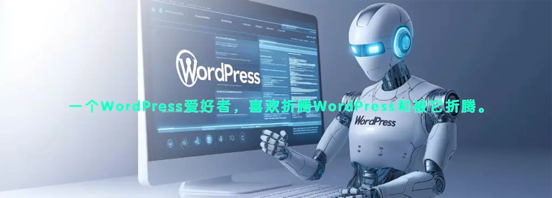 糖果博客 - WordPress建站资源平台