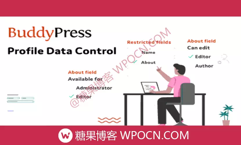 BuddyPress Profile Data Control英文版插件 - 配置文件数据控制插件-糖果博客