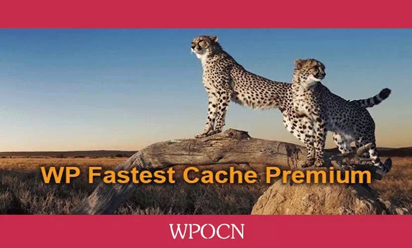 WP Fastest Cache Premium英文版插件 – 缓存插件-糖果博客