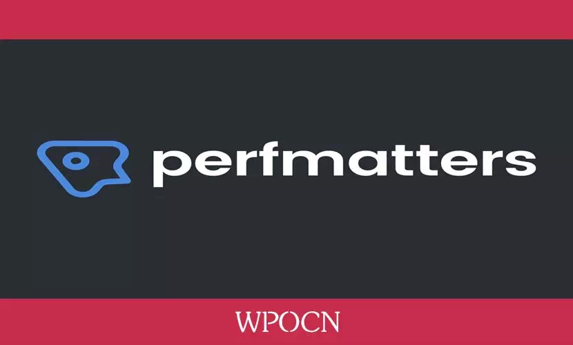 Perfmatters英文版插件 – 轻量级性能插件-糖果博客