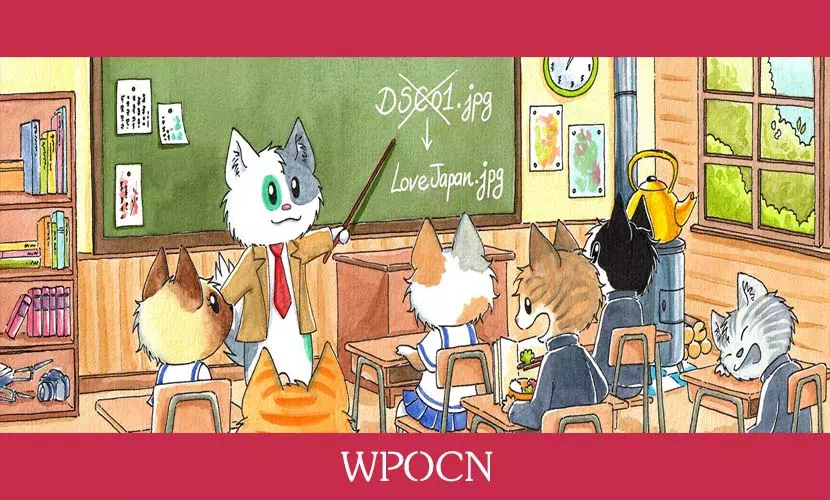 Media File Renamer Pro英文版插件 - 媒体文件自动重命名插件-糖果博客