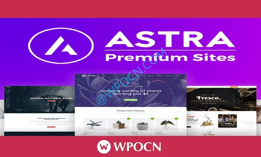 Astra Premium Starter Templates英文版插件 – Astra主题预制模板插件-糖果博客