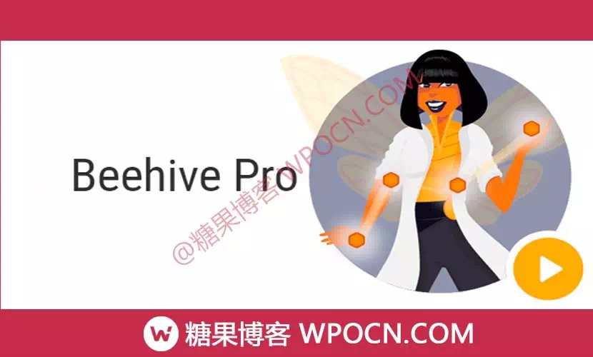 Beehive Pro英文版插件 - 网站流量分析插件-糖果博客