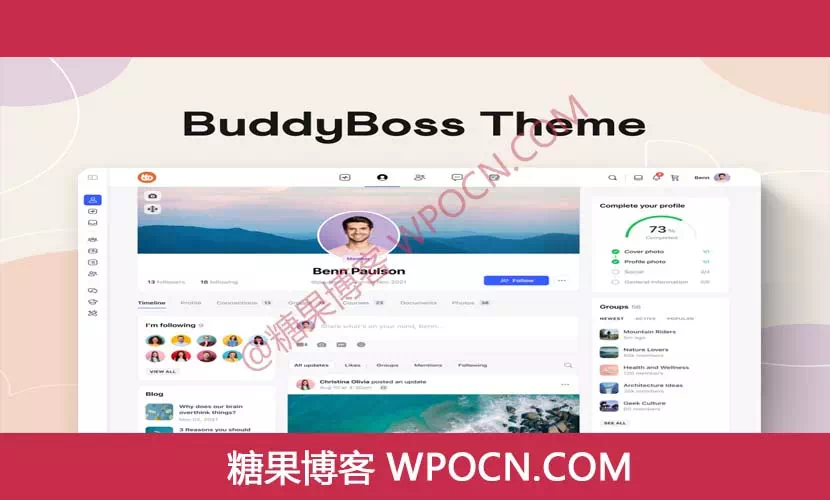 BuddyBoss Platform Pro英文版插件 - 在线社区插件-糖果博客