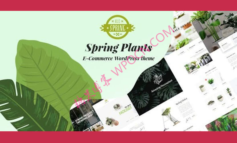 Spring Plants英文版主题 - 园艺和室内植物WordPress主题-糖果博客