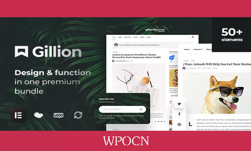 Gillion英文版主题 - 多概念博客/杂志和商店WordPress AMP主题-糖果博客