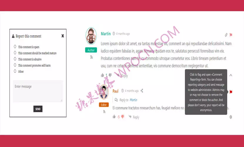 wpDiscuz – Report and Flagging 报告和标记wpDiscuz扩展插件汉化版-糖果博客