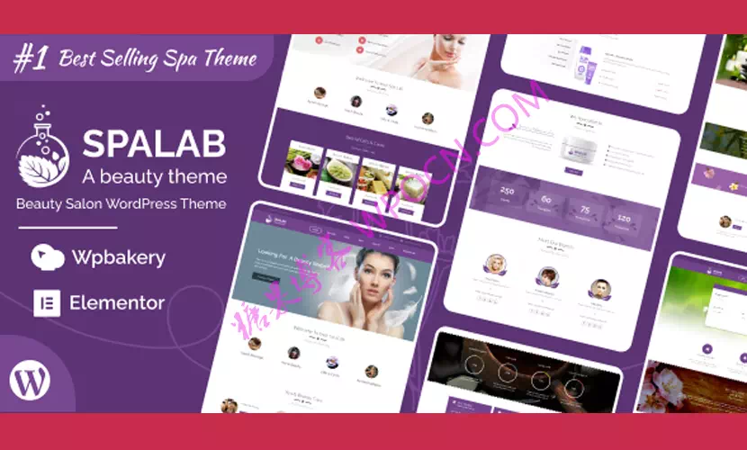 Spa Lab英文版主题 - 美容院WordPress主题-糖果博客