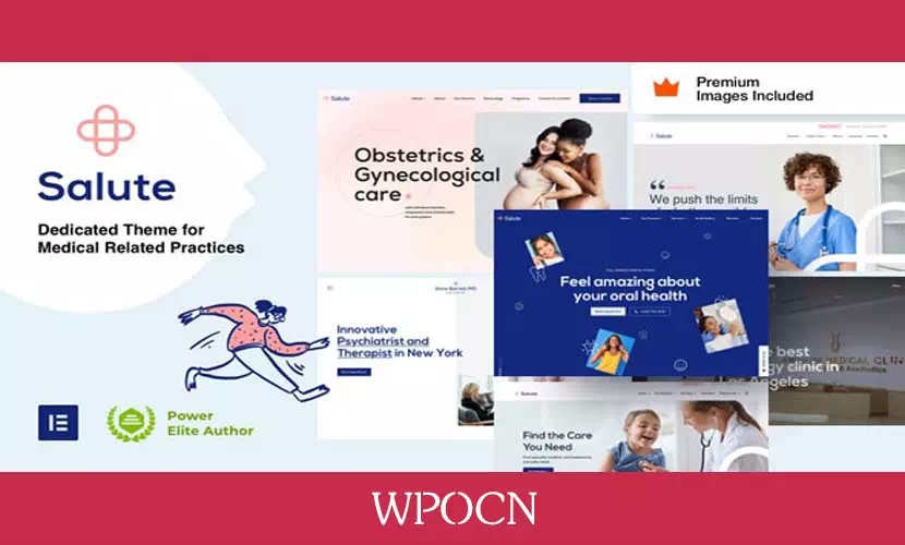 Salute英文版主题 - 医疗WordPress主题-糖果博客