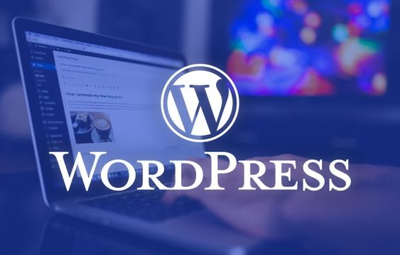 为WordPress添加一个邮箱联系表单-糖果博客