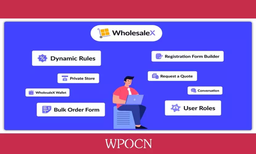 WholesaleX Pro英文版插件 - WooCommerce B2B解决方案及批发插件-糖果博客